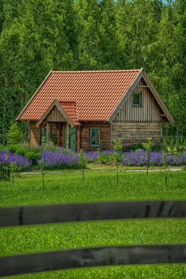 Zielone Lawki Villa Ryn  Kültér fotó